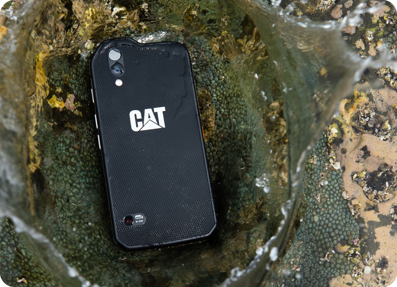 CAT PHONE S S61 Smartphone resistente impermeable con cámara FLIR integrada